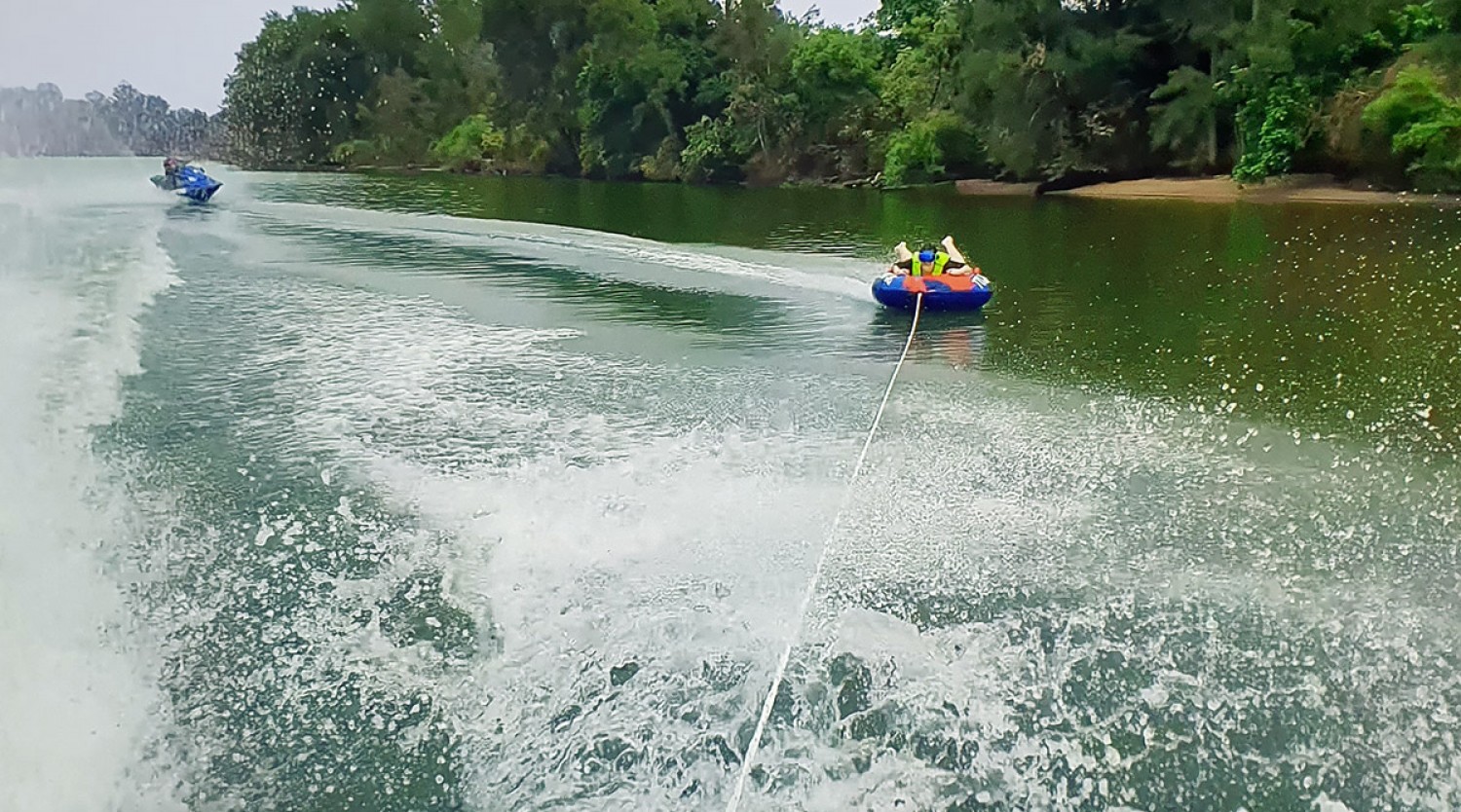 Plimbare cu gogoșarul pe Dunăre
