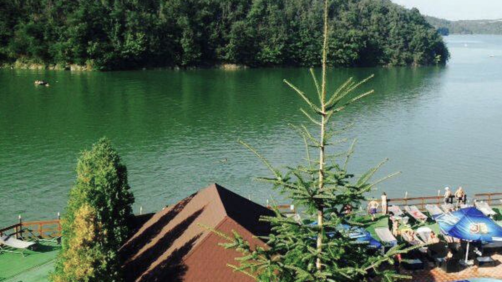 Plimbare cu gogoșarul pe Dunăre