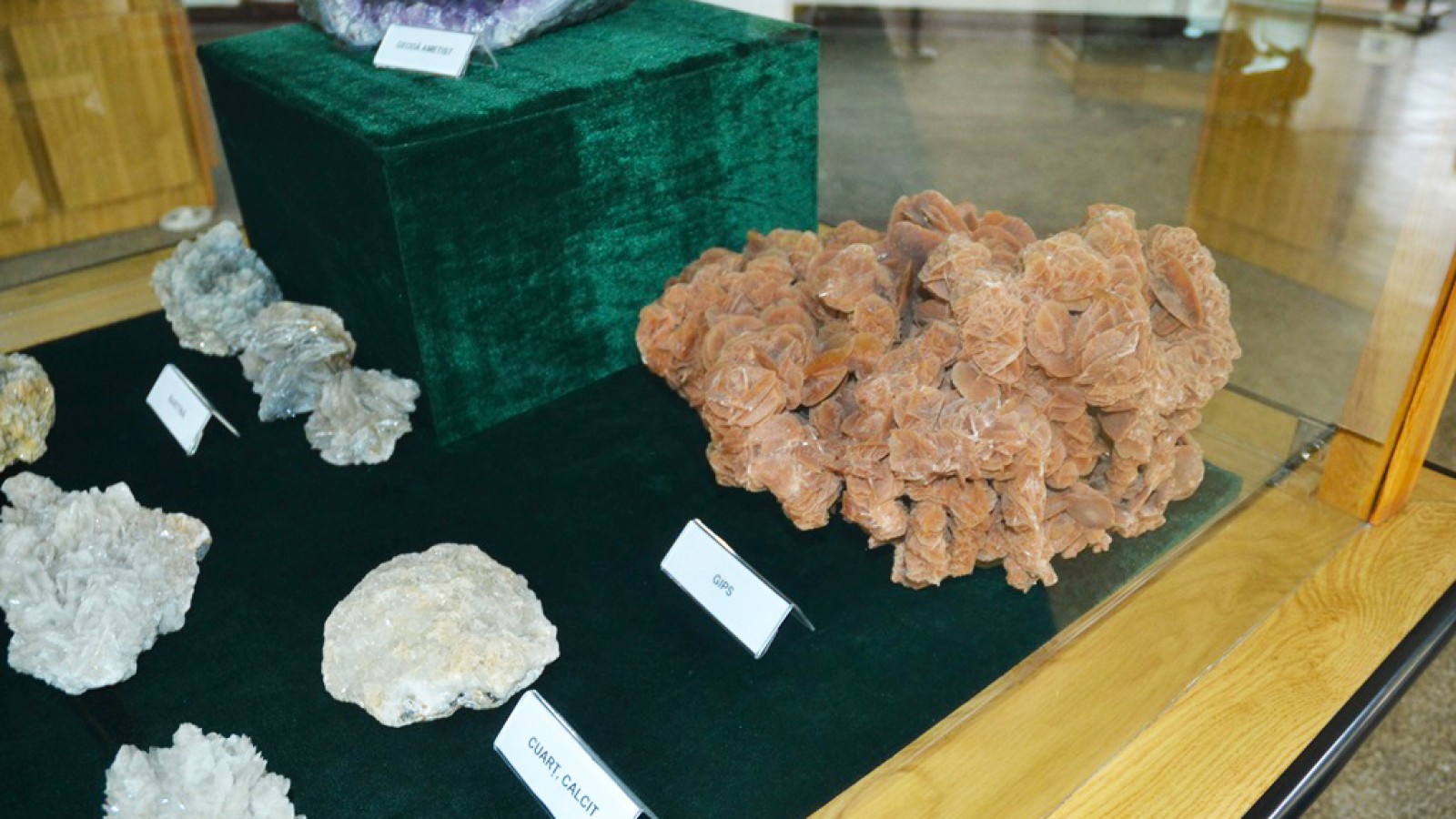 Muzeul Flori de Mina